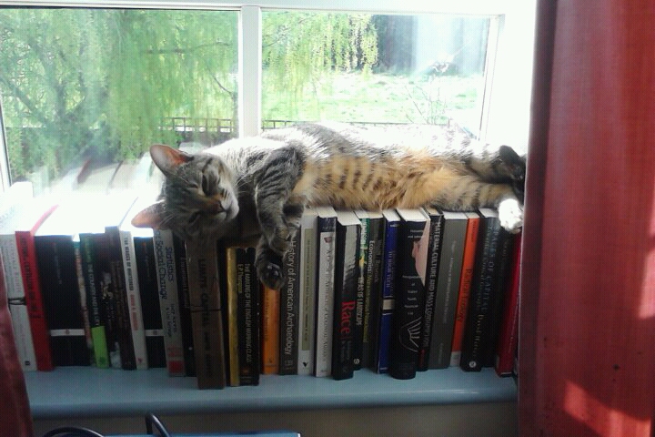 Neva, lying on books in the sun