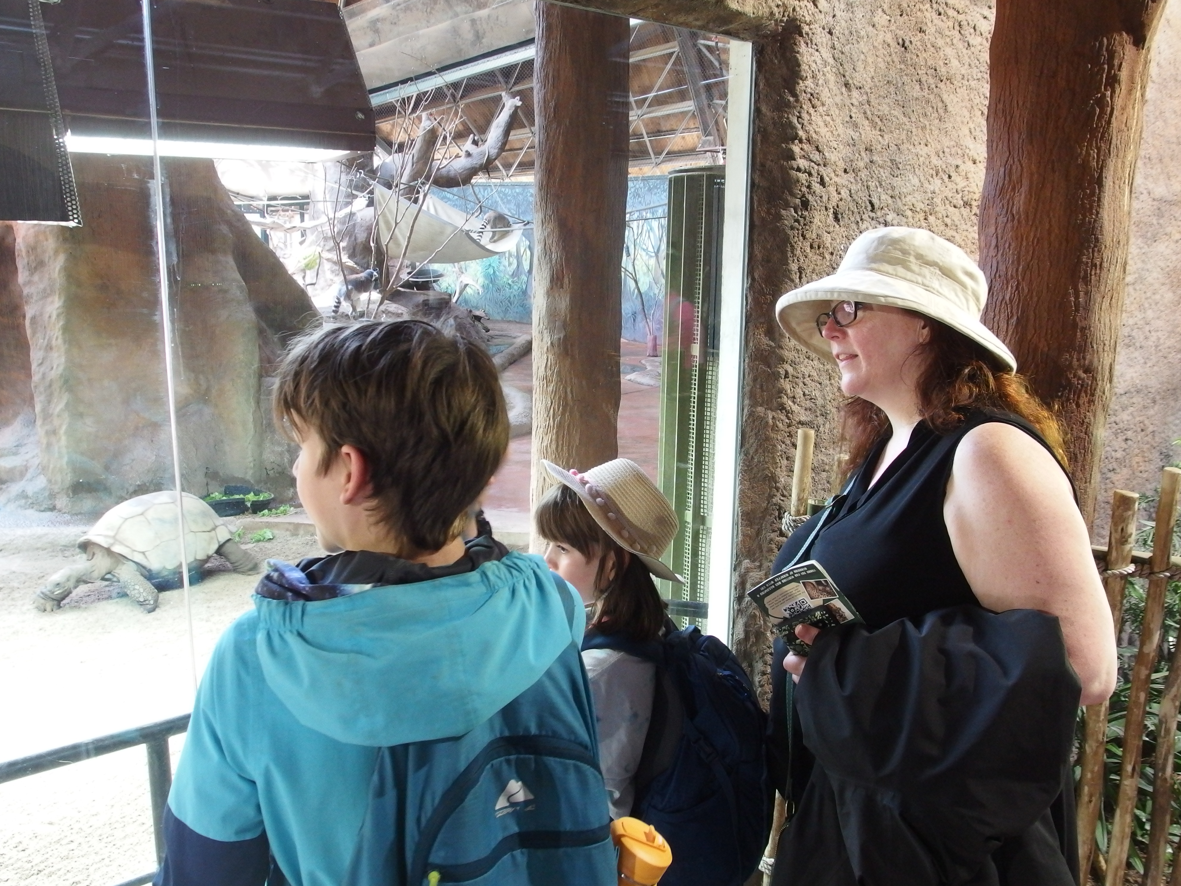 A picture of my family at the Toronto Zoo with a turtle